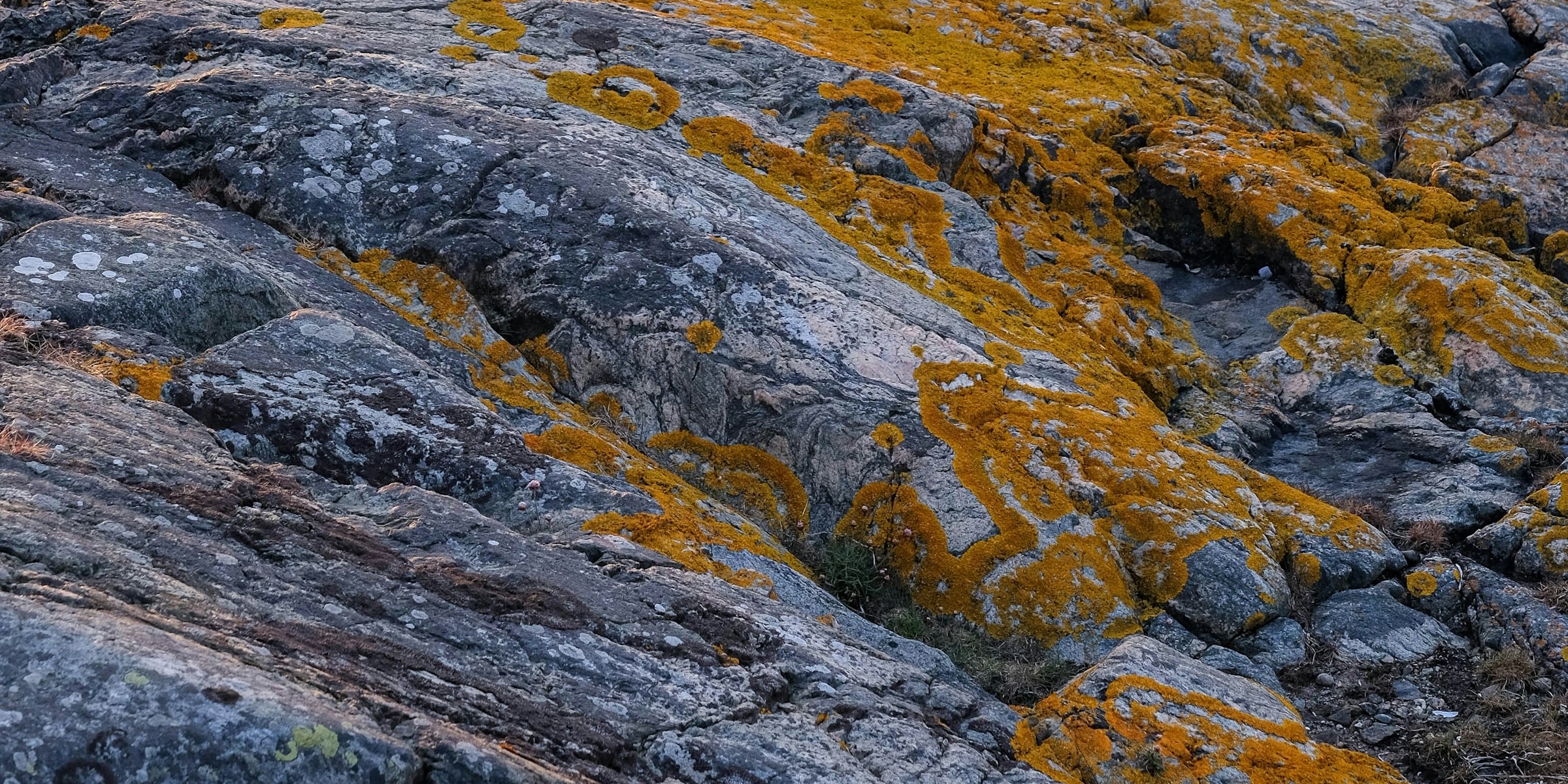 Event Image - Totalförsvarsövningen på Donsö