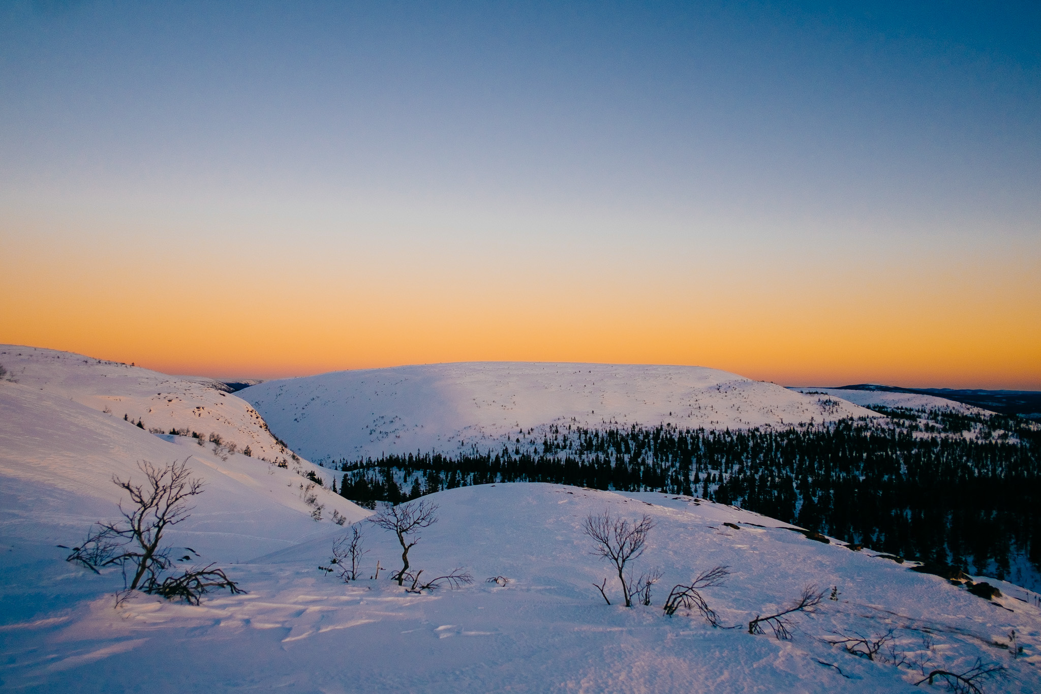 Event Image - Block 12: Vägen framåt